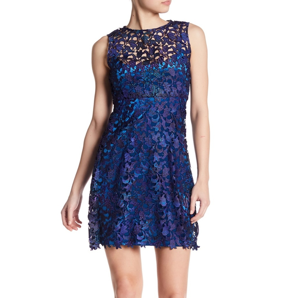 Tahari Wortha Lace Knit Dress